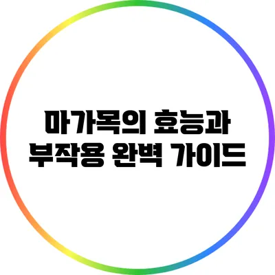 마가목의 효능과 부작용: 완벽 가이드