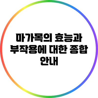 마가목의 효능과 부작용에 대한 종합 안내