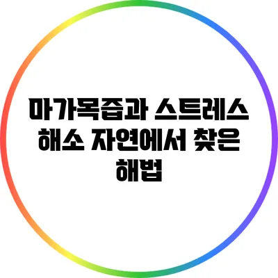 마가목즙과 스트레스 해소: 자연에서 찾은 해법