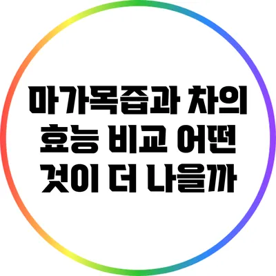 마가목즙과 차의 효능 비교: 어떤 것이 더 나을까?