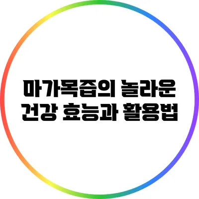마가목즙의 놀라운 건강 효능과 활용법