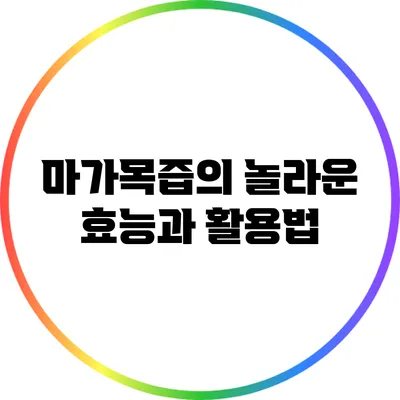 마가목즙의 놀라운 효능과 활용법