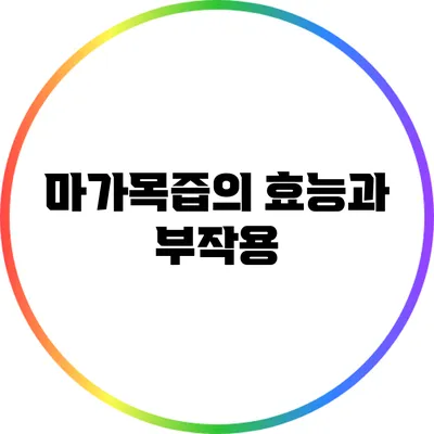마가목즙의 효능과 부작용