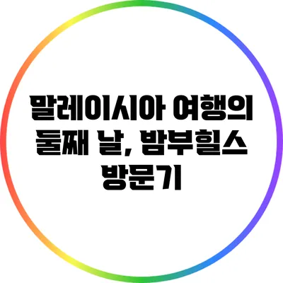 말레이시아 여행의 둘째 날, 밤부힐스 방문기