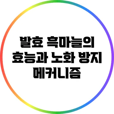 발효 흑마늘의 효능과 노화 방지 메커니즘