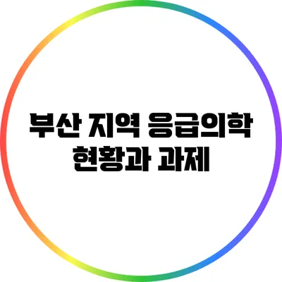 부산 지역 응급의학 현황과 과제