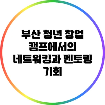 부산 청년 창업 캠프에서의 네트워킹과 멘토링 기회