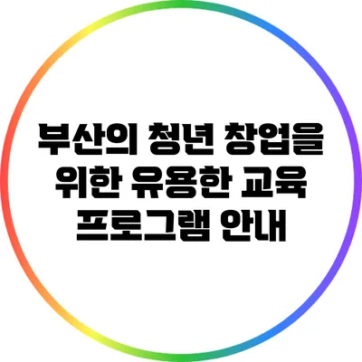 부산의 청년 창업을 위한 유용한 교육 프로그램 안내