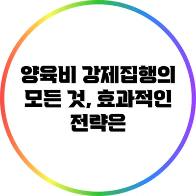 양육비 강제집행의 모든 것, 효과적인 전략은?