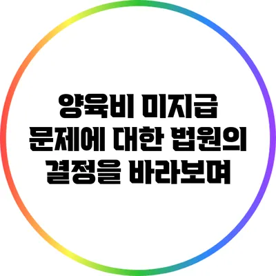 양육비 미지급 문제에 대한 법원의 결정을 바라보며