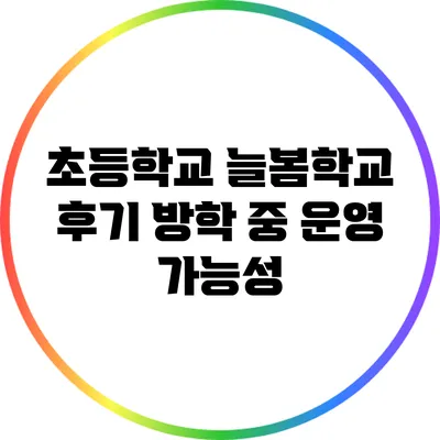 초등학교 늘봄학교 후기 방학 중 운영 가능성