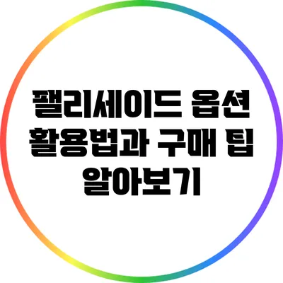 팰리세이드 옵션 활용법과 구매 팁 알아보기