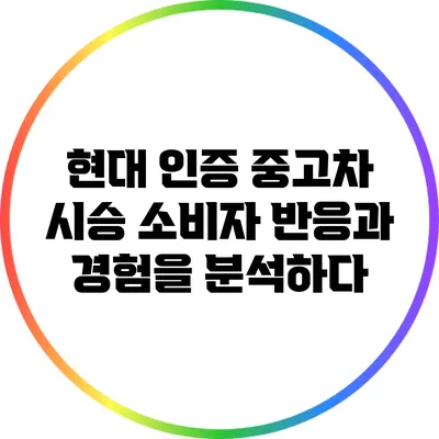 현대 인증 중고차 시승: 소비자 반응과 경험을 분석하다