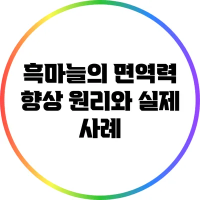 흑마늘의 면역력 향상 원리와 실제 사례