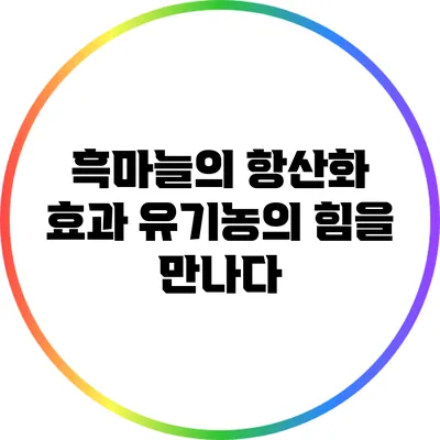 흑마늘의 항산화 효과: 유기농의 힘을 만나다