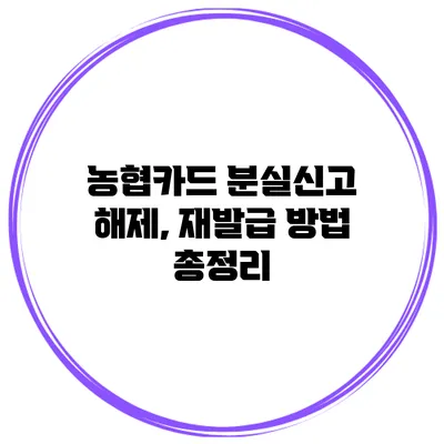 농협카드 분실신고 해제, 재발급 방법 총정리