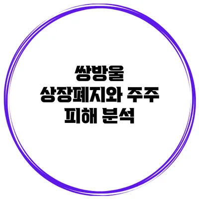 쌍방울 상장폐지와 주주 피해 분석