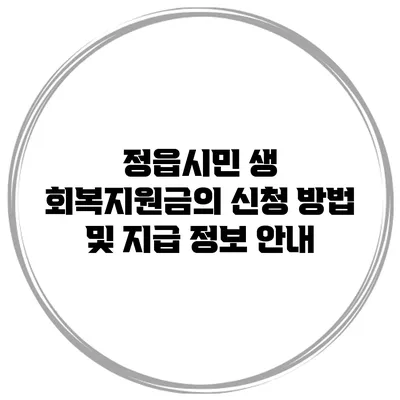 정읍시민 생 회복지원금의 신청 방법 및 지급 정보 안내